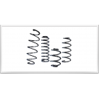 Пружины замена стандартных Eibach ERL R10008